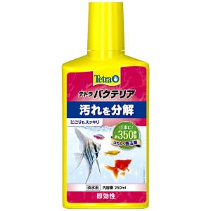 テトラ バクテリア 250ml (D)(B)｜nyanko