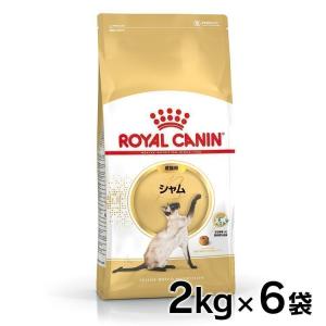 ロイヤルカナン 猫 シャム 2kg×6個セット (成猫用 生後12ヵ月齢以上12歳まで FBN キャットフード) 正規品