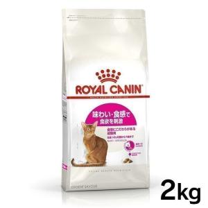 ロイヤルカナン 猫用 セイバー エクシジェント 2kg 食事にこだわる成猫用キャットフード 猫用 フード 猫