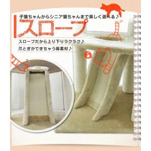 ≪タイムセール≫キャットタワー 据え置き型 中型 QQ80083 ハンモック 猫用品 爪とぎ 人気 多頭飼い おしゃれ おすすめ 人気：予約品※9月中〜下旬入荷予定※｜nyanko｜03