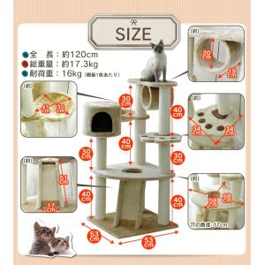 ≪タイムセール≫キャットタワー 据え置き型 中型 QQ80083 ハンモック 猫用品 爪とぎ 人気 多頭飼い おしゃれ おすすめ 人気：予約品※9月中〜下旬入荷予定※｜nyanko｜07