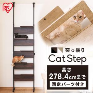 キャットタワー 木製 突っ張り クリアステップ 猫 タワー 猫タワー おしゃれ キャットステップ 天井突っ張りタイプ アイリスオーヤマ CATS-68｜nyanko