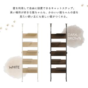 キャットタワー 木製 突っ張り クリアステップ...の詳細画像1