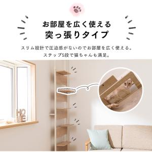 キャットタワー 木製 突っ張り クリアステップ...の詳細画像2