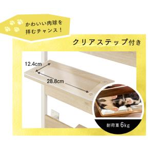 キャットタワー 木製 突っ張り クリアステップ...の詳細画像3