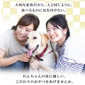 犬 おやつ ジャーキー 犬用 ドッグフード 犬...の詳細画像5