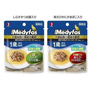 メディファス スープパウチ 1歳から 成猫用 4...の商品画像