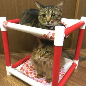 キャットタワー ハンモック 猫  ネコ ねこ  軽量 ニャンモック ベッド 多頭飼い スクエア 正方形 立方体 移動簡単 (新にゃんぱく２段モック/花円)(382)