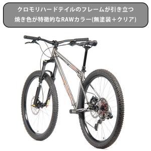 クロモリ ハードテイル マウンテンバイク RO...の詳細画像2