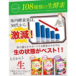 こだわりの生酵素スムージー 置き換え 108種...の詳細画像4
