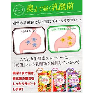 こだわりの生酵素スムージー 置き換え 108種...の詳細画像5