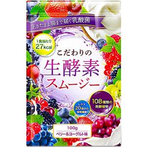 YOGINI FOOD 100 ストロベリー 21袋入り ヨギーニフード YOGINI FOOD 100 ストロベリー 21食分 定期購入