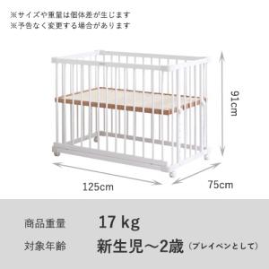 【公式キャンペーン】 ファルスカ公式 限定色 ...の詳細画像3