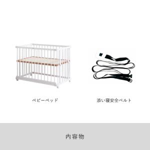 【公式キャンペーン】 ファルスカ公式 限定色 ...の詳細画像4