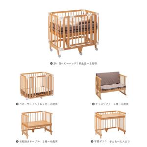 【公式キャンペーン】 ファルスカ公式 クリエイ...の詳細画像1