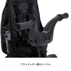 キャンペーン ドゥーナ リキトライク ミッドナ...の詳細画像4