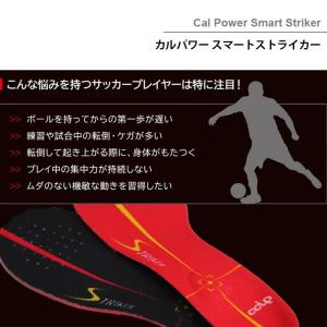BMZ インソール サッカー エントリーモデル...の詳細画像3