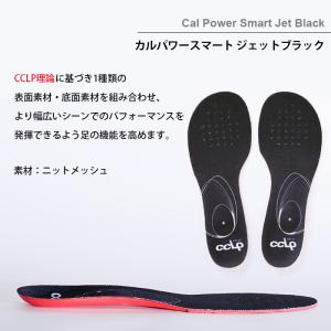 BMZ インソール メンズ レディース 中敷き...の詳細画像2