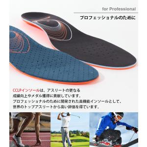 BMZ インソール メンズ レディース 中敷き...の詳細画像3