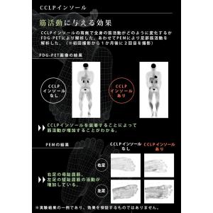 BMZ インソール メンズ レディース 中敷き...の詳細画像5