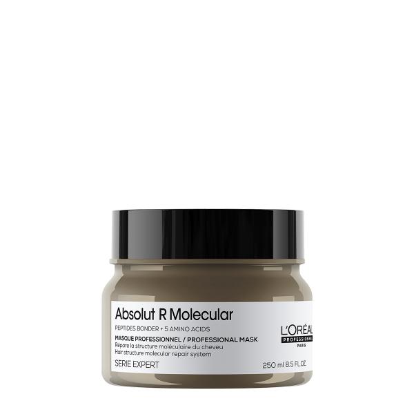 ロレアルプロフェッショナル セリエエクスパート 「アブソルート R モレキュラー マスク 250mL...