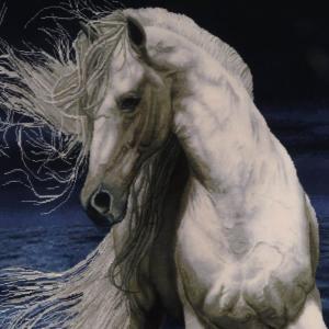 ペルシャ絨毯/タブリーズ 132×98cm イ...の詳細画像3