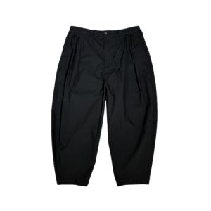 PORTER CLASSIC（ポータークラシック） WEATHER CARGO PANTS - BLACK