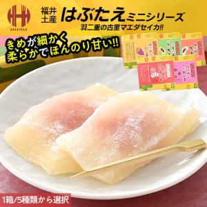 羽二重餅 はぶたえ 餅 もち 1箱（5種類から選択） 福井 銘菓 お土産 ギフト 父の日｜o-select-fukui