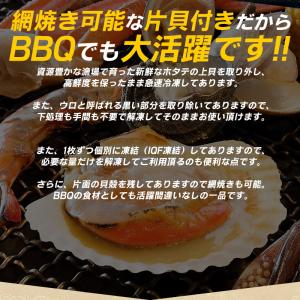 ホタテ ほたて 殻付き 片貝 ホタテ片貝 30...の詳細画像4