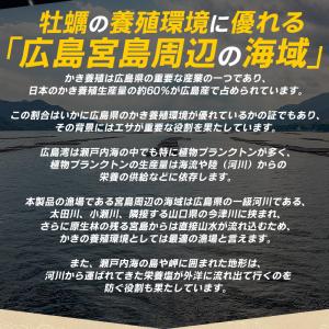 カキ かき 牡蠣 むき身 2Lサイズ 1kg ...の詳細画像5