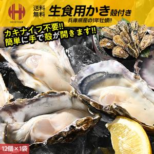 カキ かき 牡蠣 生食用 殻付き 12個 冷凍 兵庫県室津産