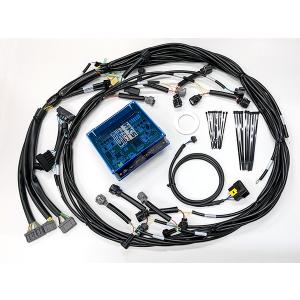 HKS（エッチケーエス） 【HKS】スピードリミッターカット SLD Type I