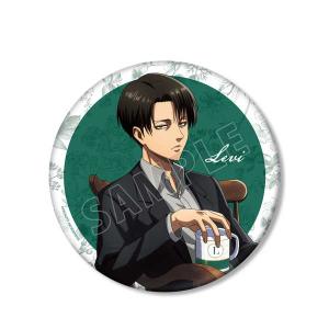 あんさんぶるスターズ ポートレートサイン 缶バッジ C 瀬名泉 あんスタ