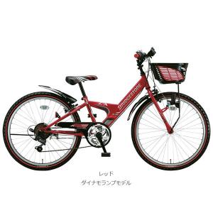 BRIDGESTONE ブリヂストン EXPR...の詳細画像3