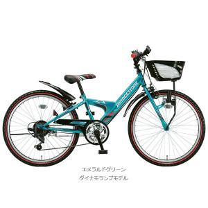 BRIDGESTONE ブリヂストン EXPR...の詳細画像4