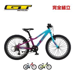 GT ジーティー 2024年モデル STOMPER HT ACE 20 ストンパーHT エース 20 子供用自転車の商品画像