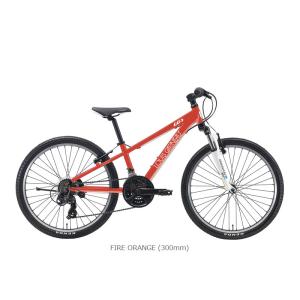 LOUIS GARNEAU ルイガノ J24 ...の詳細画像1