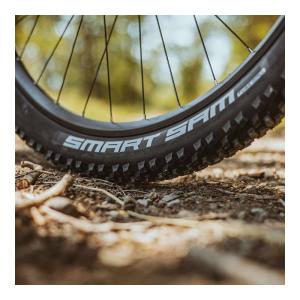 SCHWALBE シュワルベ スマートサム 2...の詳細画像2