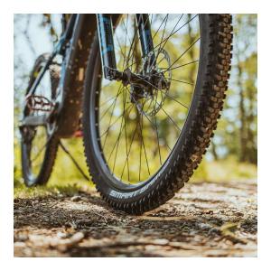 SCHWALBE シュワルベ スマートサム 2...の詳細画像3