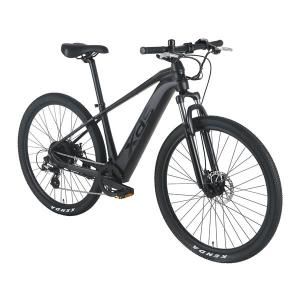 XDS エックスディーエス ADVANCE 8...の詳細画像2