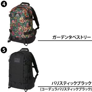 グレゴリー バッグ リュックサック デイパック...の詳細画像2