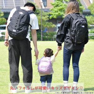 ノースフェイス バッグ リュックサック デイパ...の詳細画像4
