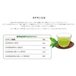 いなばペットフード 低脂肪ごはんパウチ 総合栄...の詳細画像2