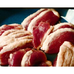 ハンガリー産 チェリバリー 合鴨ムネ肉 240...の詳細画像2
