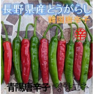 唐辛子 国産 生 青 200g 韓国唐辛子  韓国料理 キムチ 隠し味
