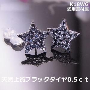 CHANEL（シャネル） ピアス ツイスト フープ ロゴ ヴィンテージ