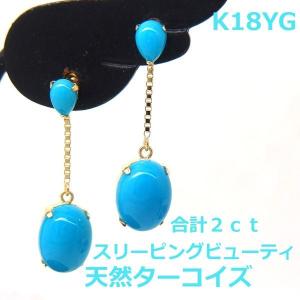 送料無料】プラチナ製スリーピングビューティターコイズ デザイン