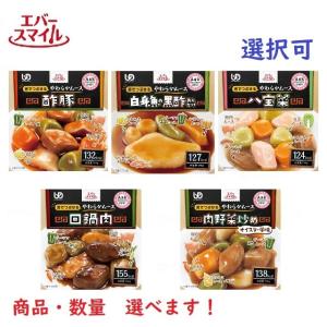 お好きな数量・種類が選べるお好みパック エバースマイル 中華メニュー全5種 舌でつぶせるやわらかムース 区分3｜oasismse