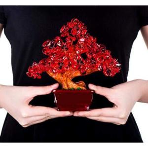 WooJoo" 招財樹 金なる木 シトリン 黄水晶，ローズクォーツ，アメジスト恋愛 金運 財産運 健康運