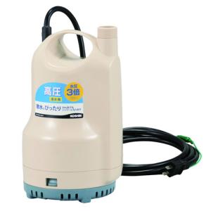 寺田ポンプ ステンレス 水中ポンプ CS-250 50Hz SUS304 テラダ 寺田ポンプ 水中ポンプ 200V ステンレス製 排水ポンプ 0.75kw 50mm CS